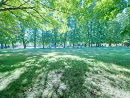Peaceful lawns, mature tree canopy and sunny open space at Benefit Playground