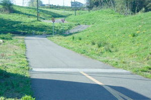 Chief Sealth Trail — a 3.4-mile multi-use walking and biking trail through southeast Seattle, running from S Angeline St at its north end to S Gazelle St near Kubota Garden at its south end. The trail follows the City Light corridor through Beacon Hill and Rainier Beach, providing a green north-south route with connections to neighborhood destinations and light rail.