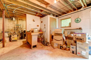  Photo 41