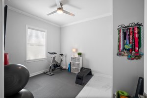  Photo 41