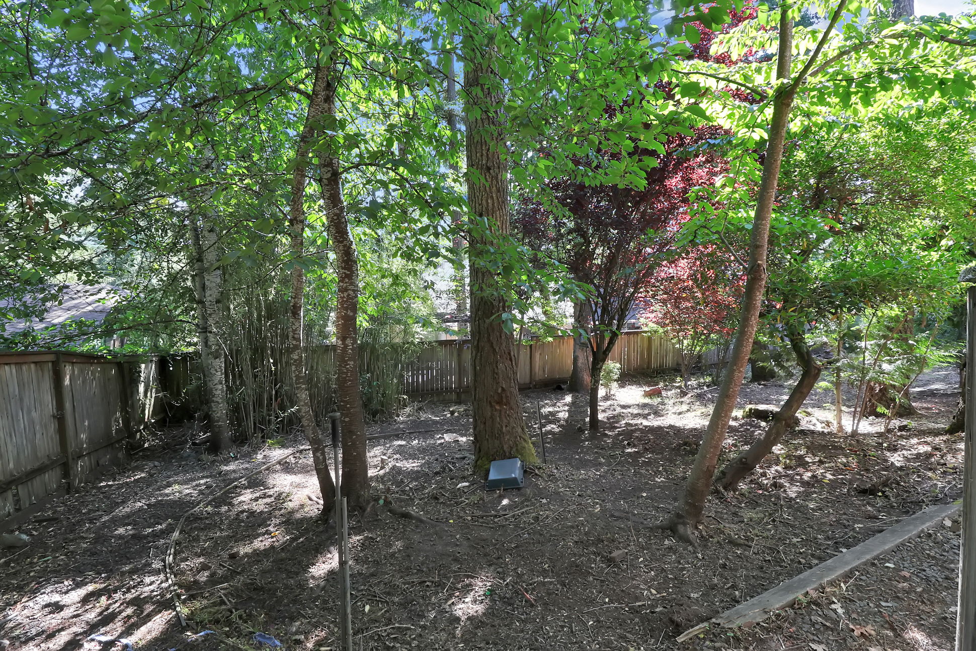 Photo 45