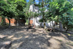  Photo 49
