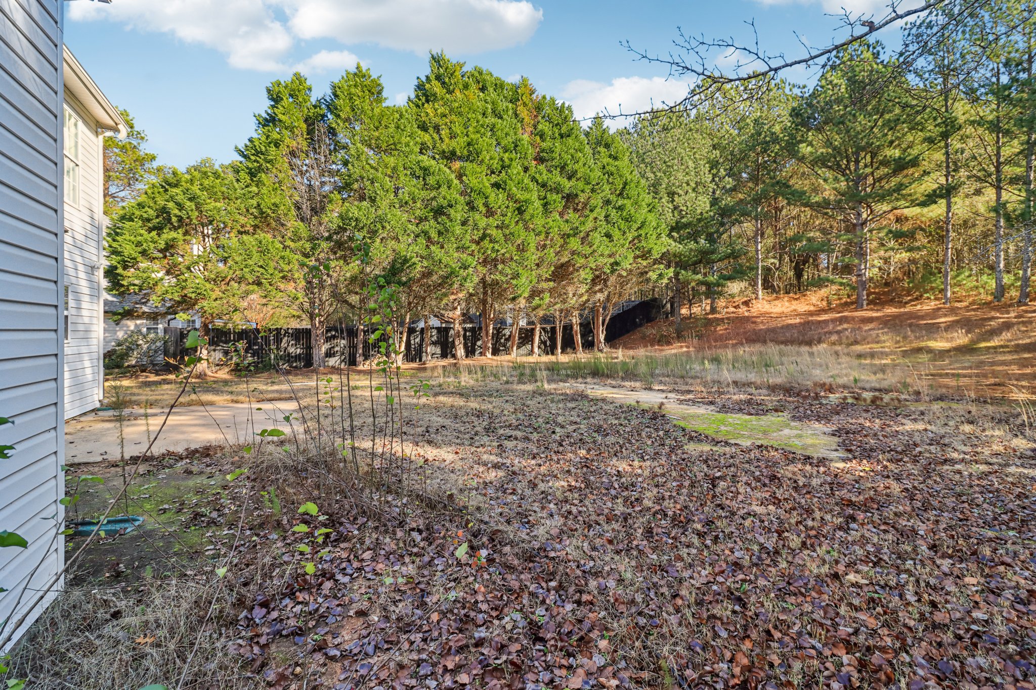 Weeping Willow Ln-S1112-052.jpg