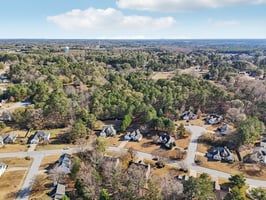 Weeping Willow Ln-S1112-060.jpg