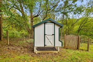  Photo 44