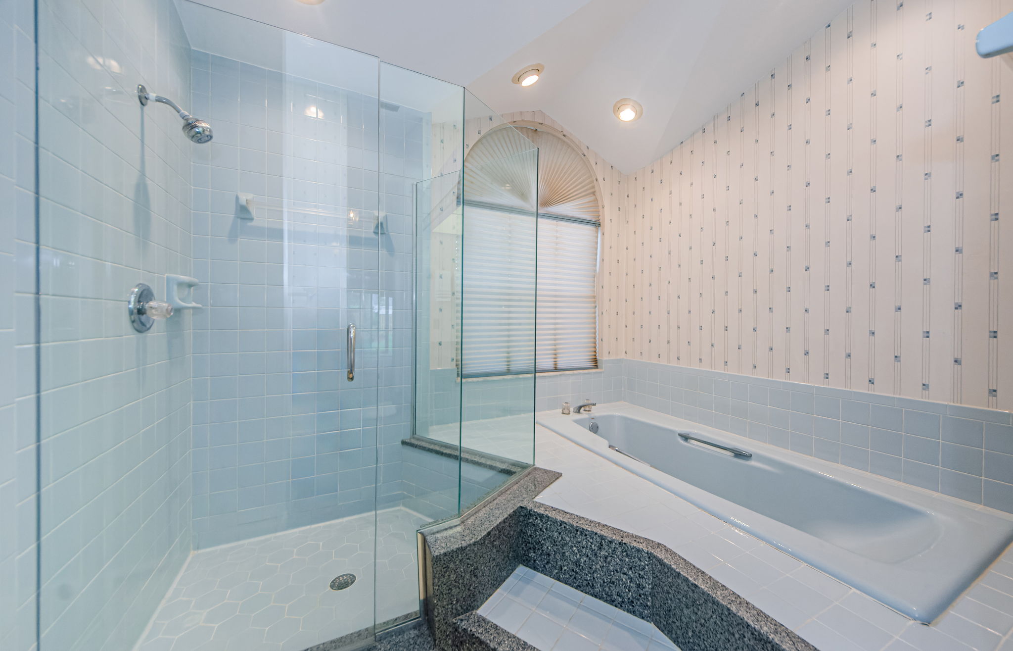 Master Bathroom 1c