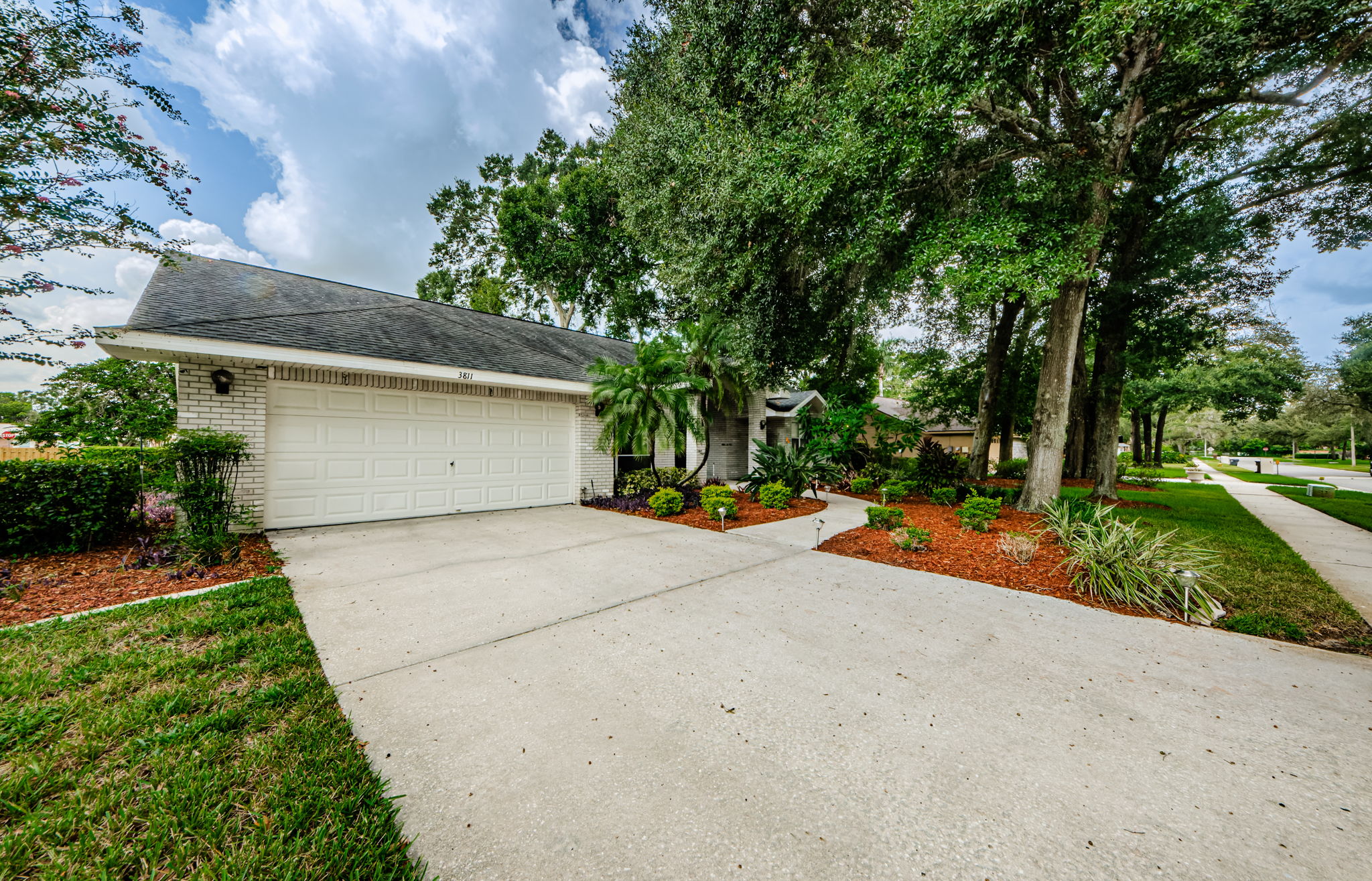 Driveway 1
