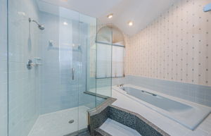 Master Bathroom 1c