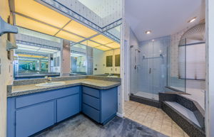 Master Bathroom 1b