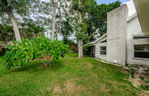 Backyard 4