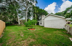 Backyard 3