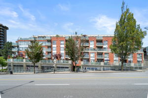  Photo 47