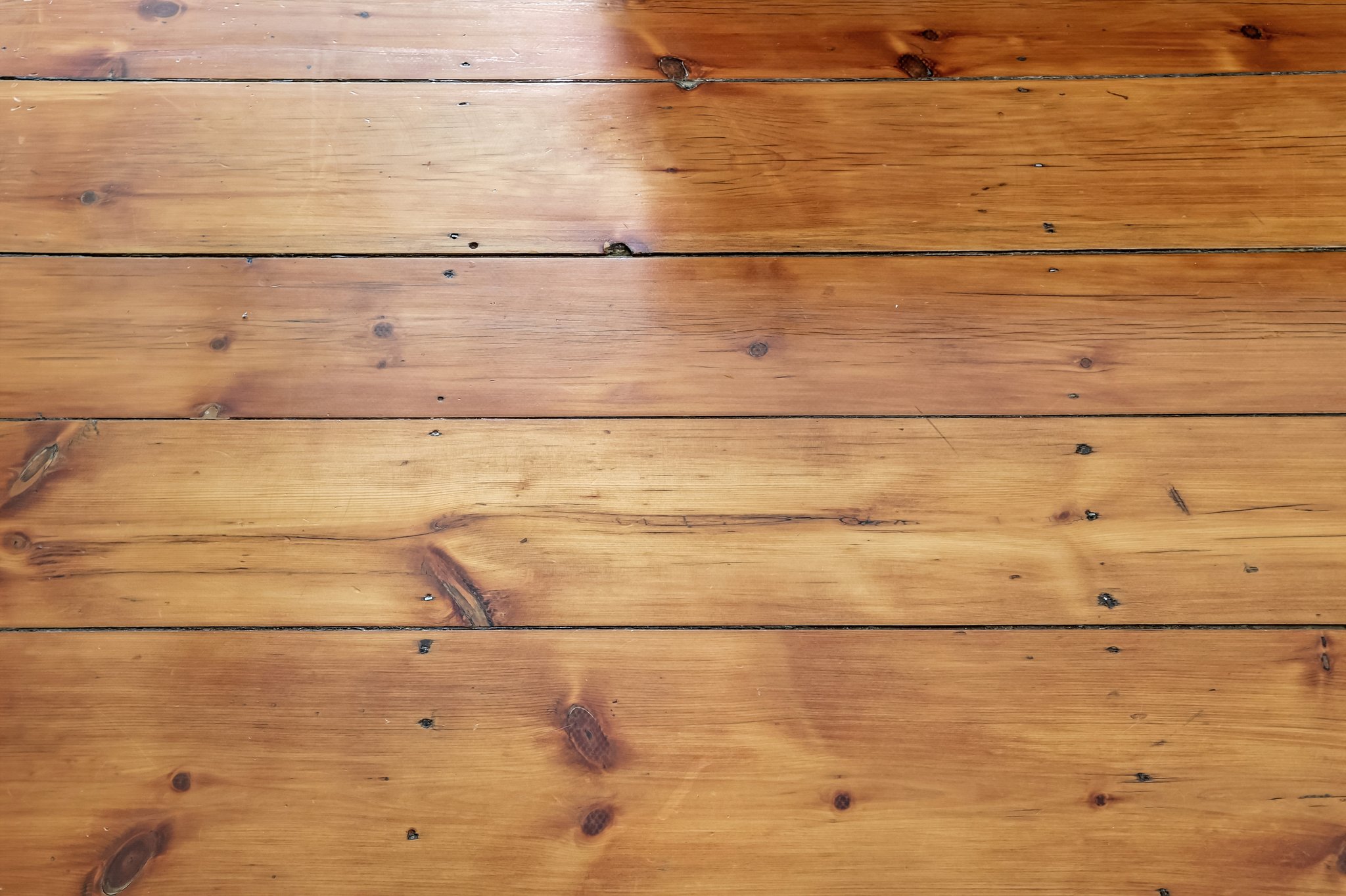 Lilac Rd-S2304-052.jpg