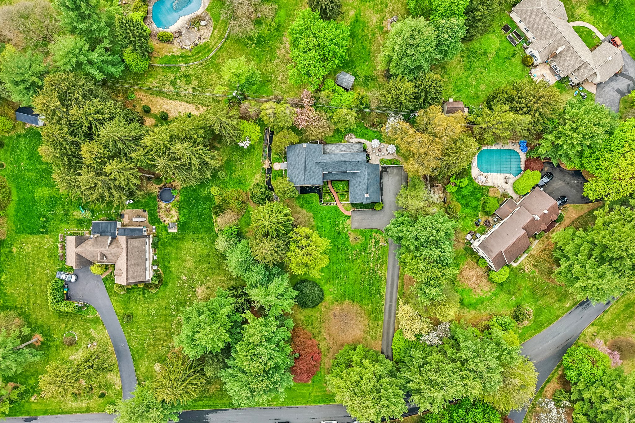 Lilac Rd-S2304-091.jpg