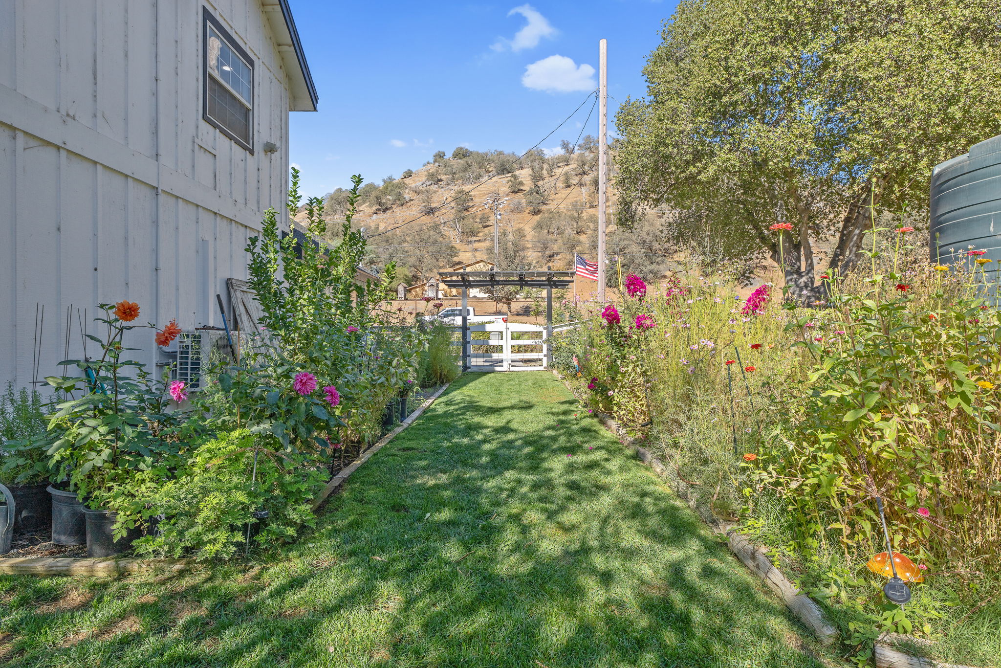  Photo 46