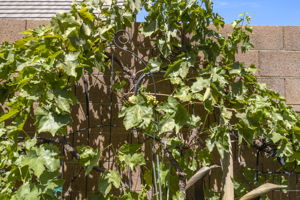  Photo 41