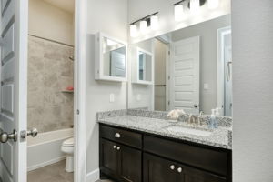Hall Bathroom