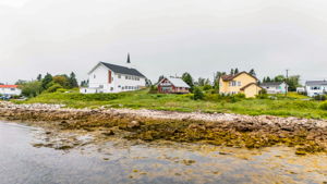  Photo 100