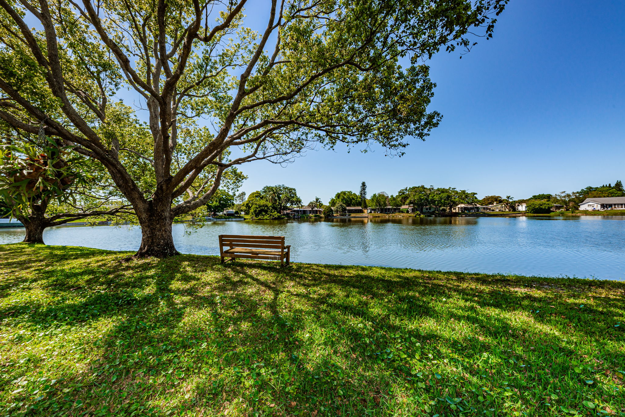 43-Common Area and Pond View
