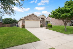 Front Yard