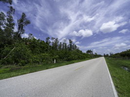  Photo 0