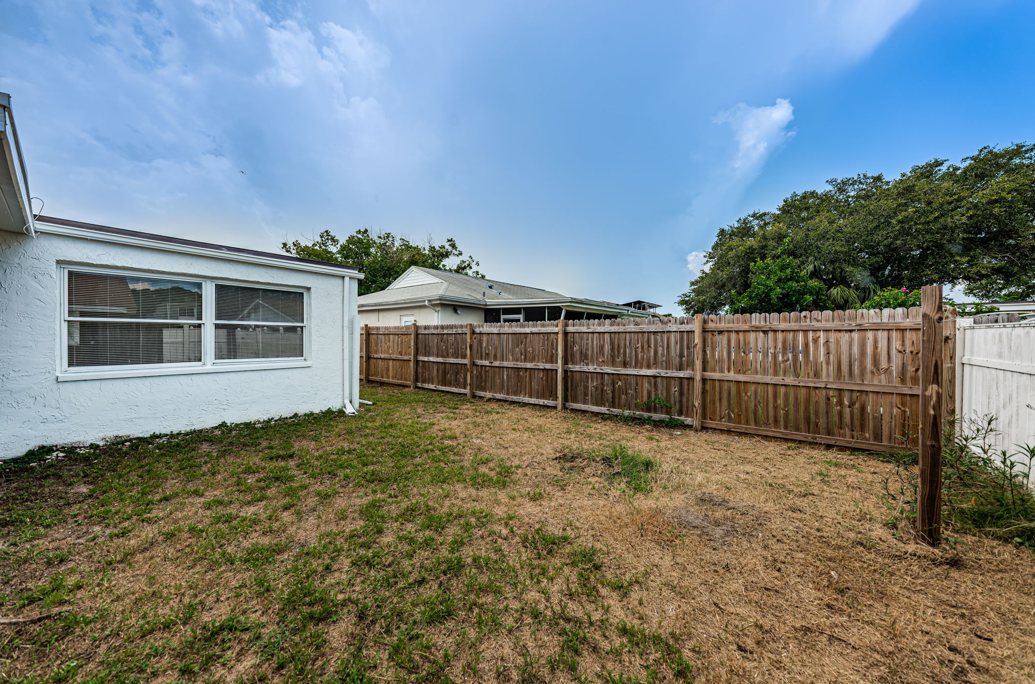 Backyard3