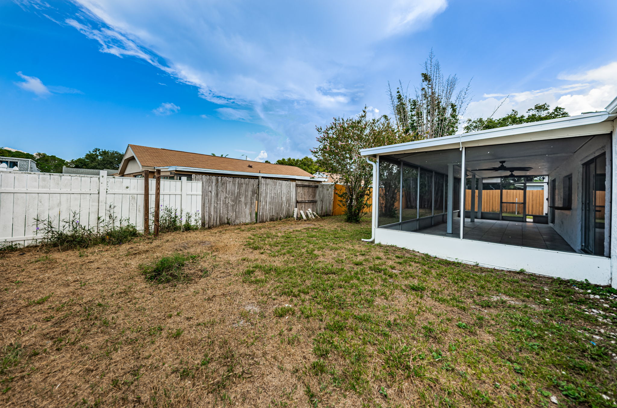 Backyard5