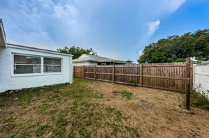 Backyard3
