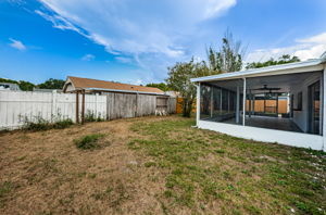 Backyard5