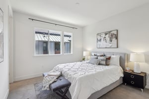 Improvement Ter 1006-1205-028.jpg