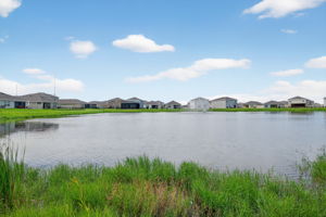 Exteriors (14)