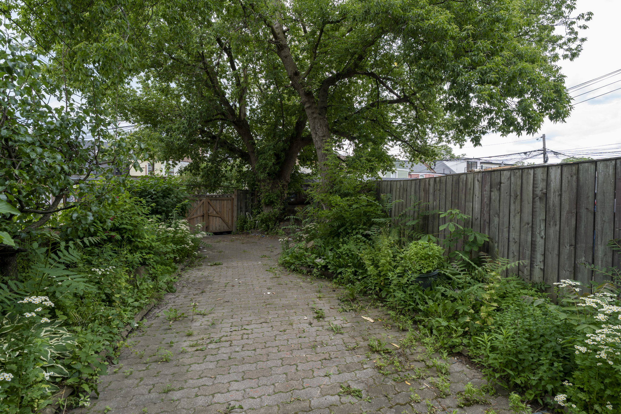  Photo 24
