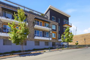 002_F8_382 Llano de los Robles Ave 9