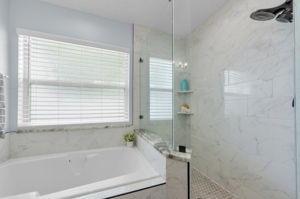 Master Bathroom 1b