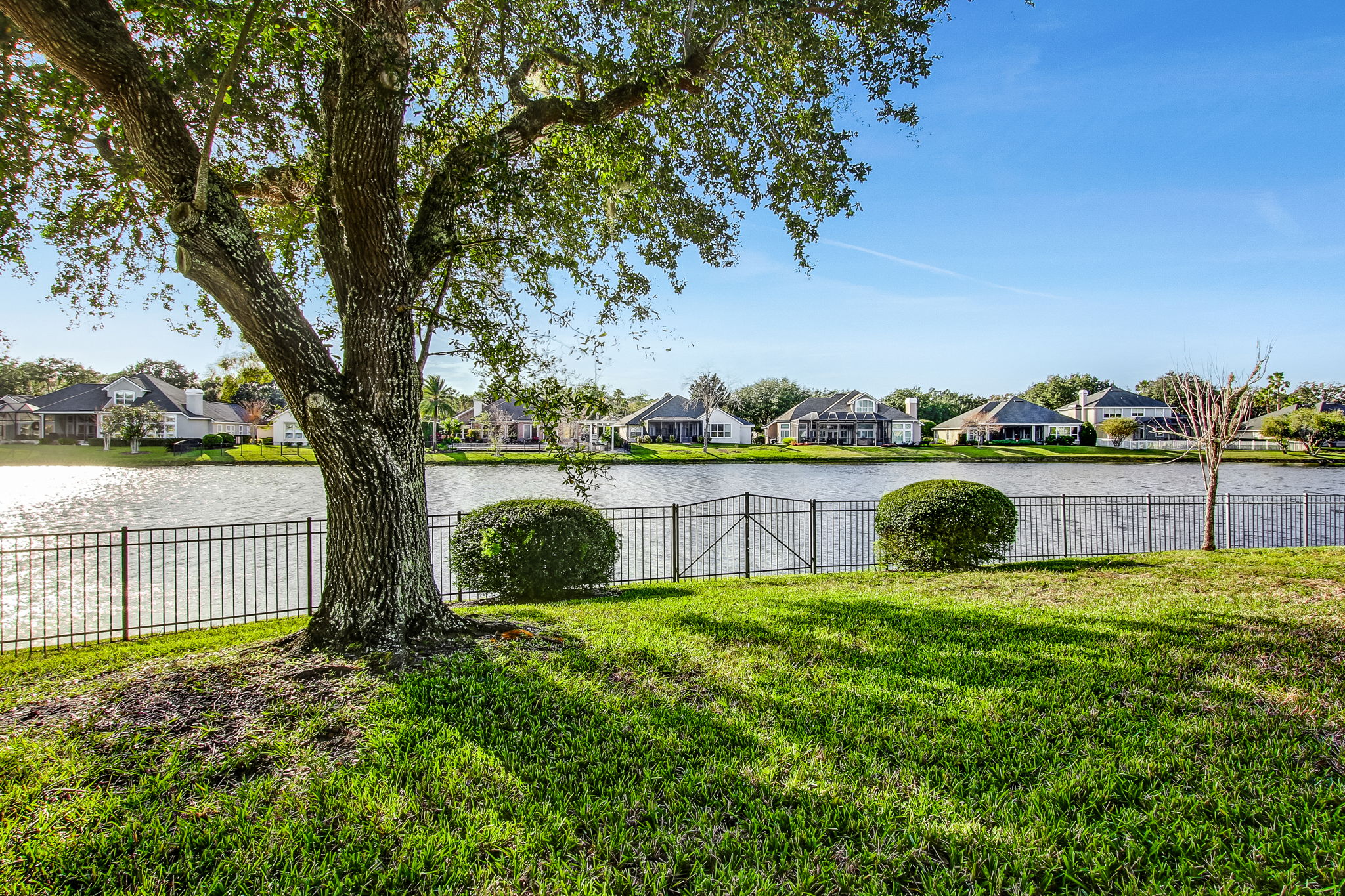 Panoramic Views of Sparkling Lake