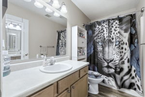 Photo 23