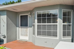 Eucalyptus Dr-2006-006.jpg