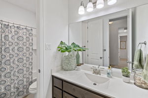 Hall Bath with Tub/Shower Combo