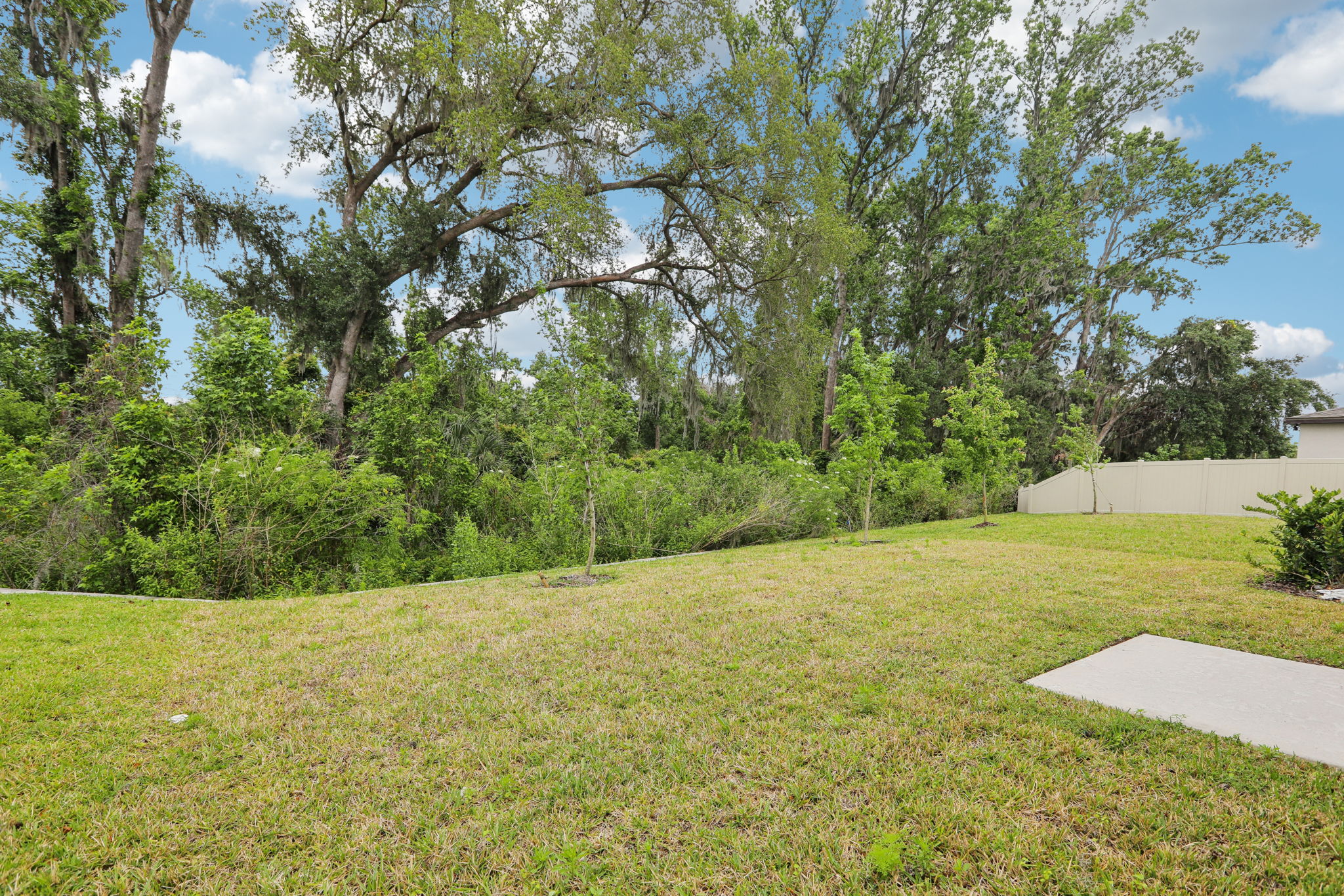 Tampa - Park East - Lot 0358 - 3826 Radiant Mountain Drive, Plant City, FL 33565-032