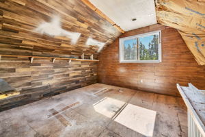  Photo 49