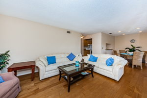 Living Room3-2