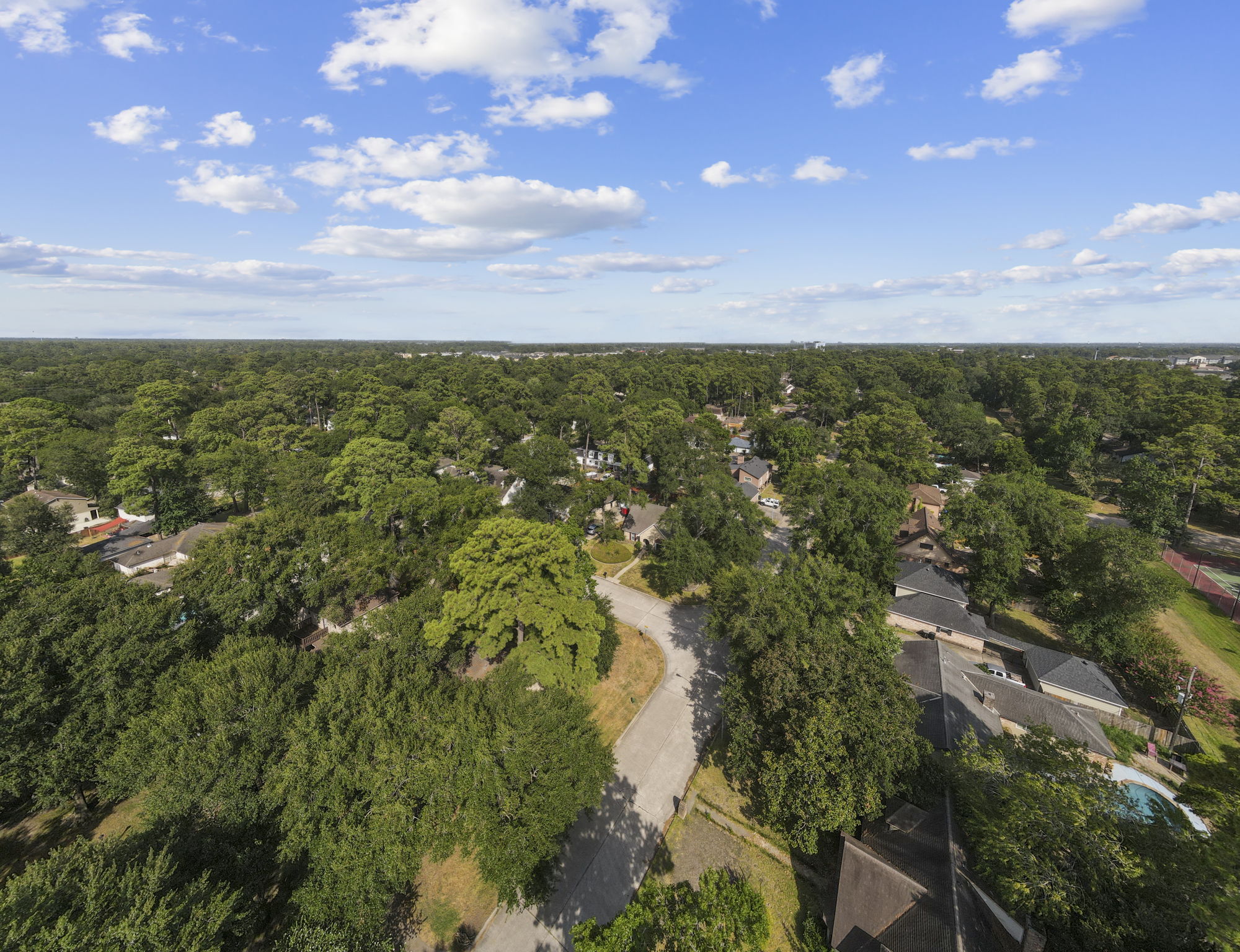  Photo 65