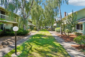3rd Ave-S0108-005