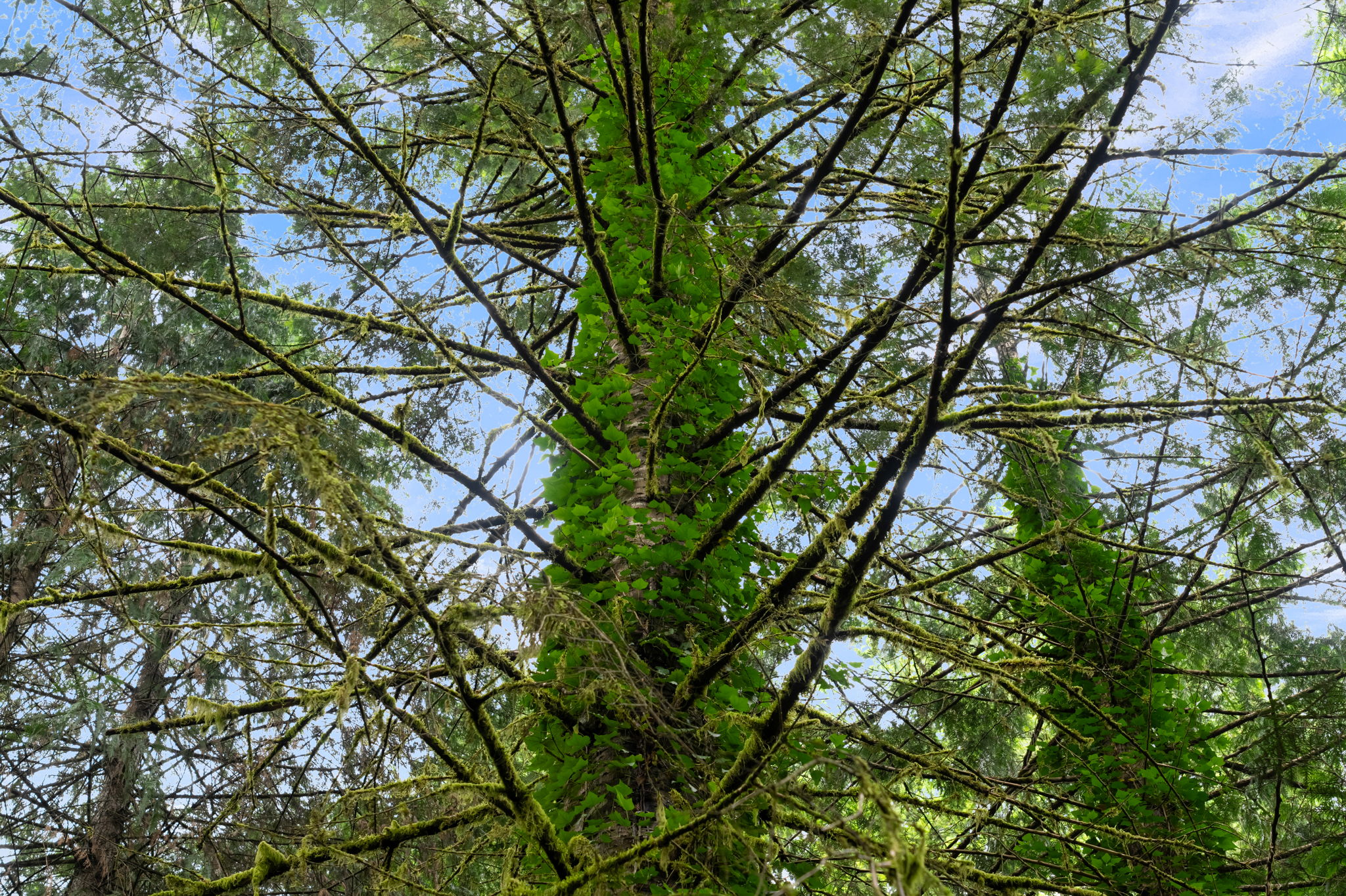  Photo 44