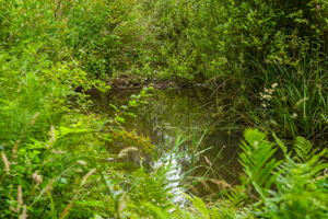  Photo 34