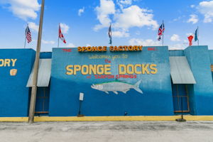 DSC_0623