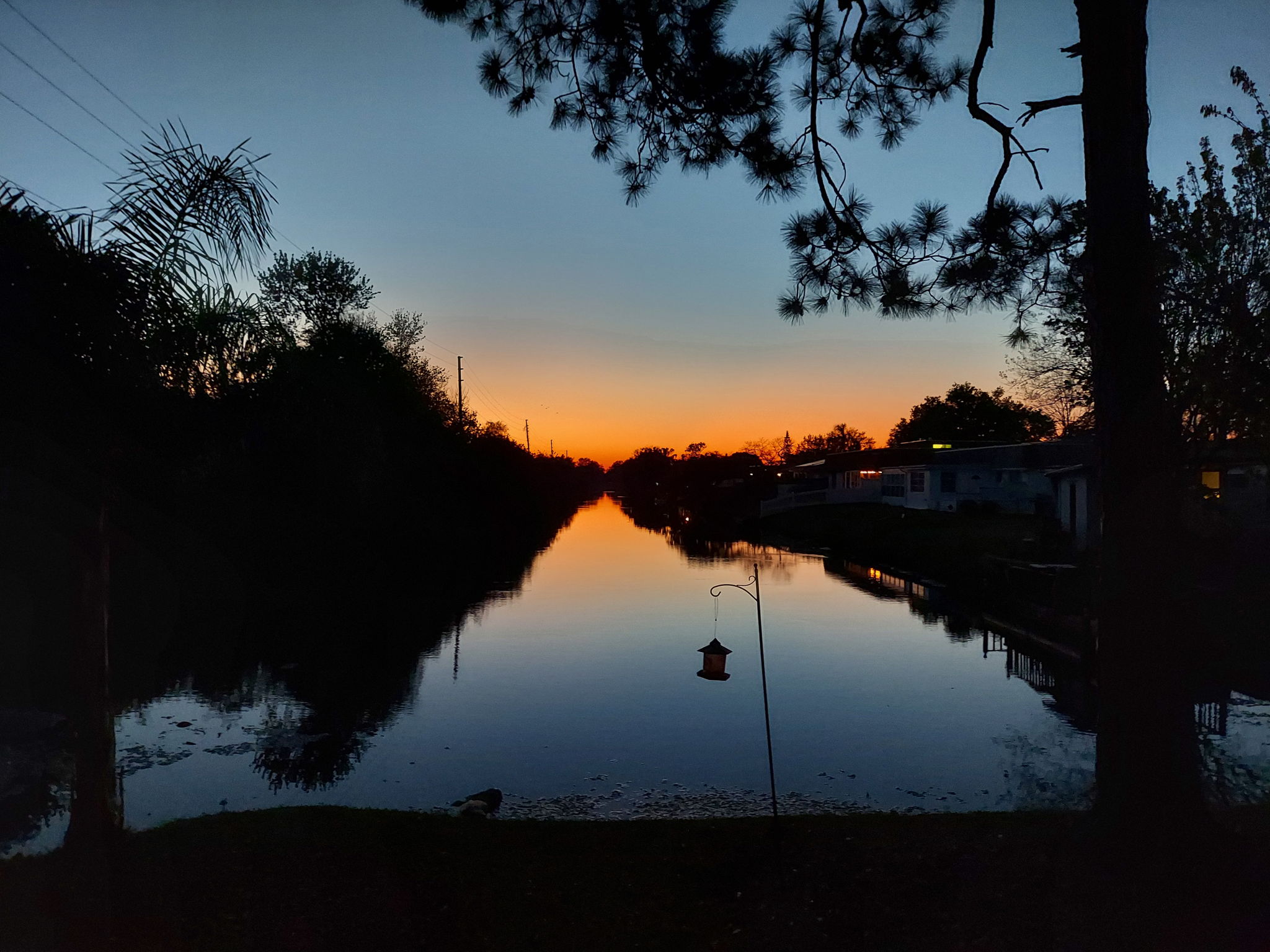  Photo 41