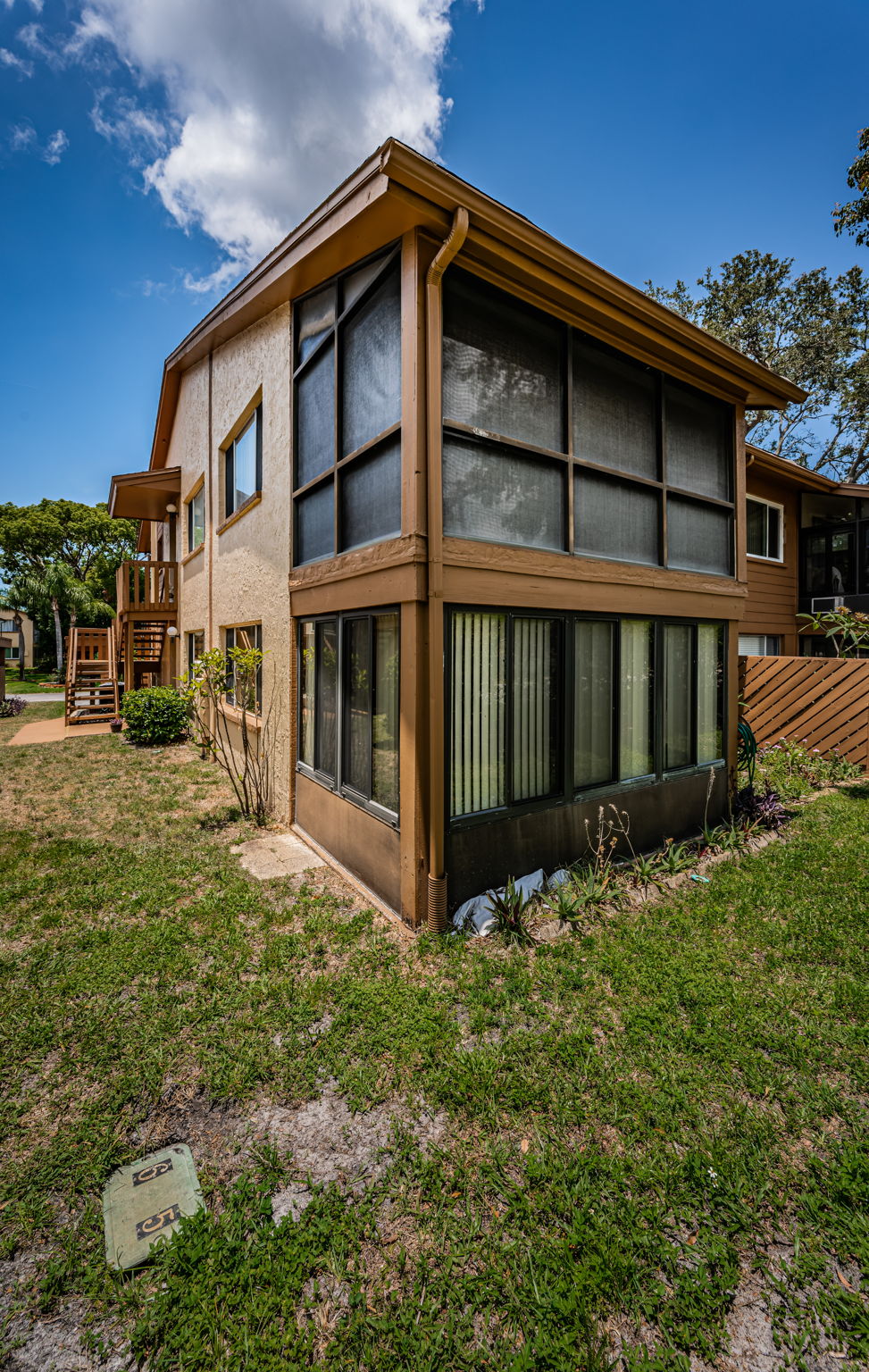 Backyard3