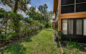 Backyard2