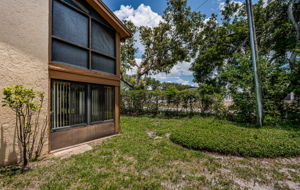 Backyard11